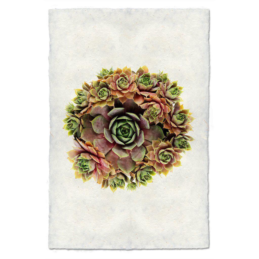 Barloga 20x30 Print on Handmade Paper Unframed by Barloga Studios– Fire Opal ...