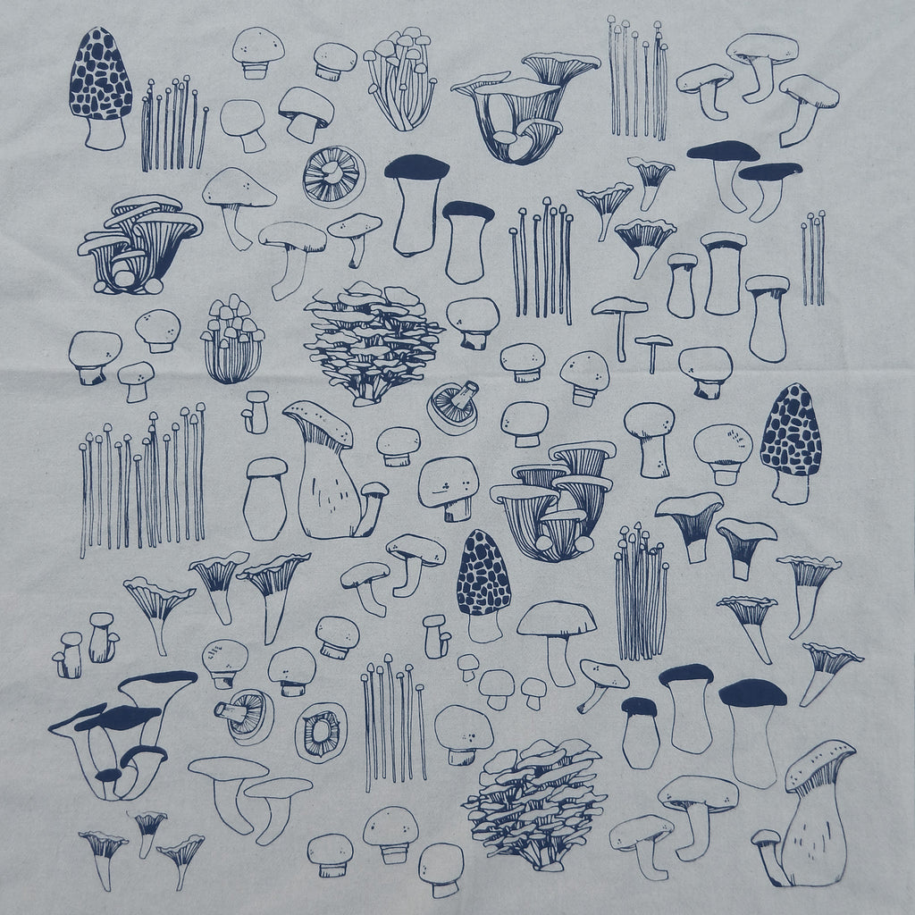 Collection of black line drawings of various mushrooms on a light blue background